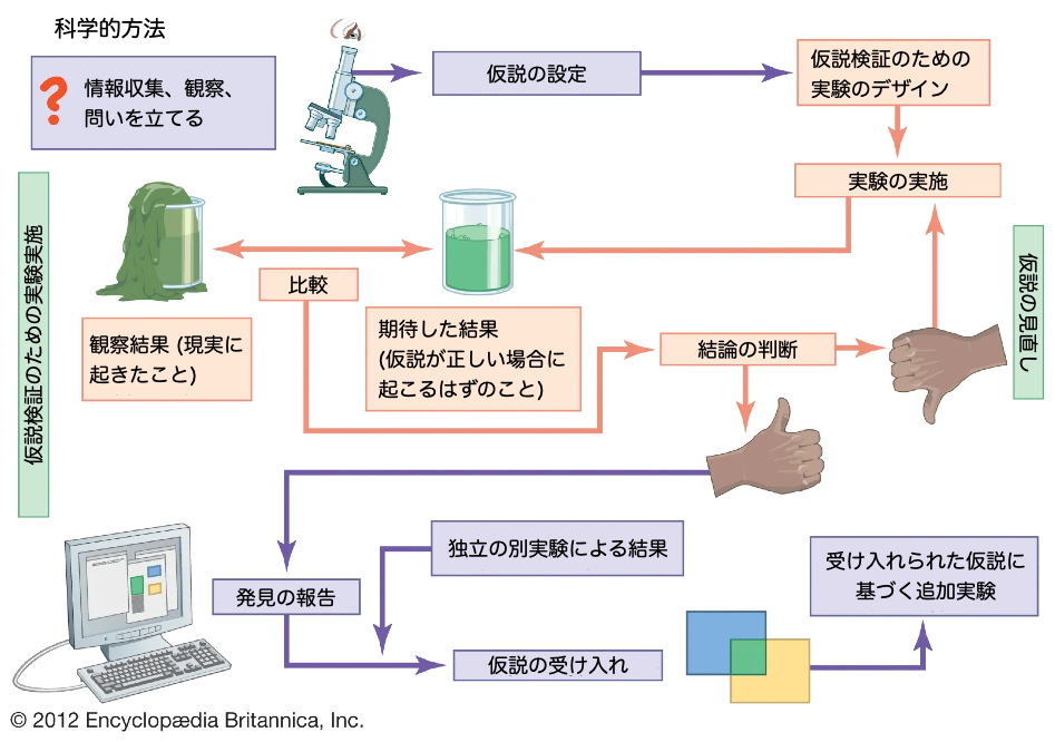 科学的方法の流れ