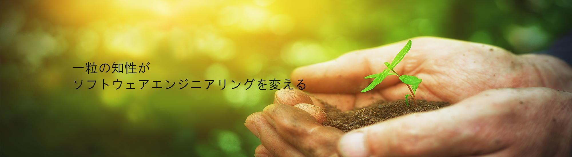 一粒の知識がソフトウェアエンジニアリングを変える